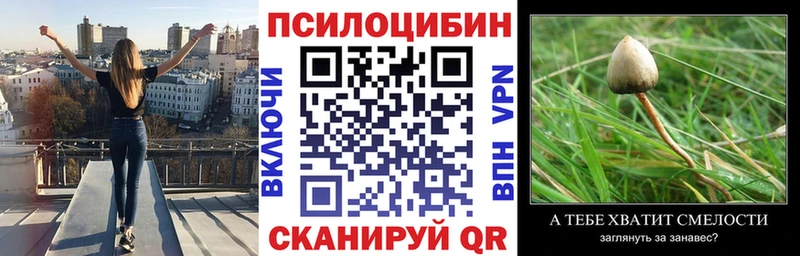 мега зеркало Солнечногорск Псилоцибиновые грибы мицелий